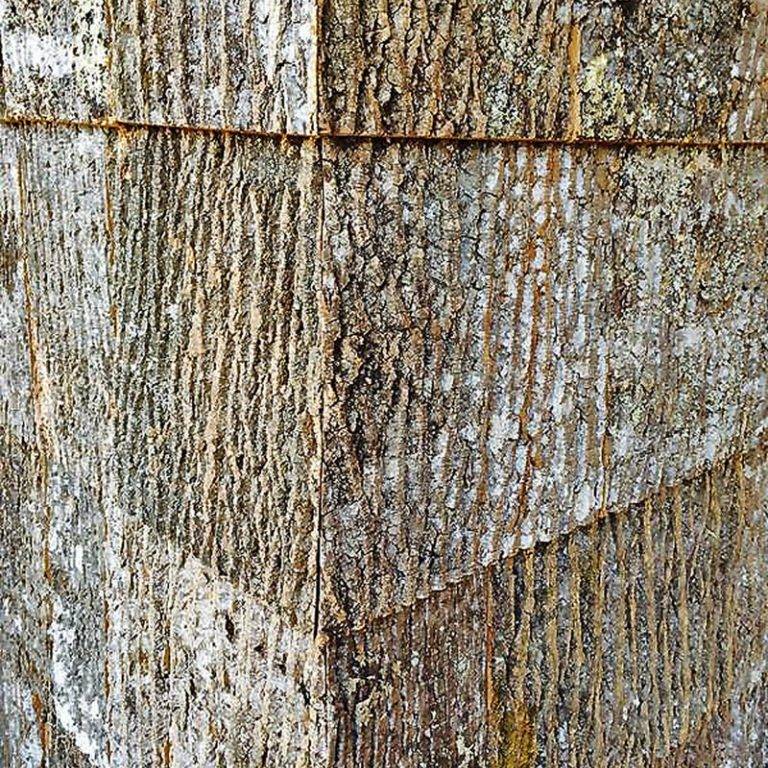 Bark Siding 2