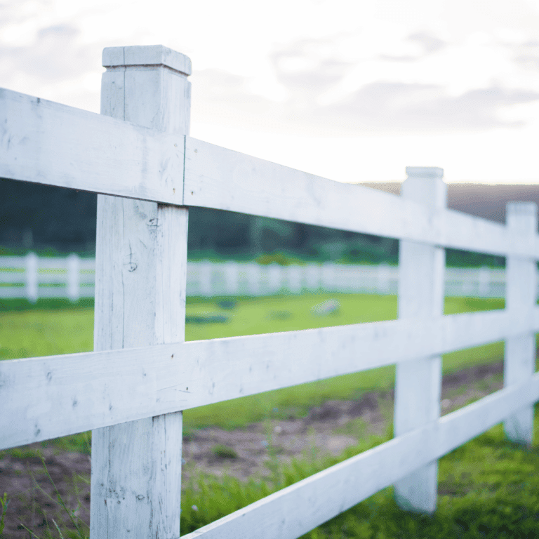 Wood Fence