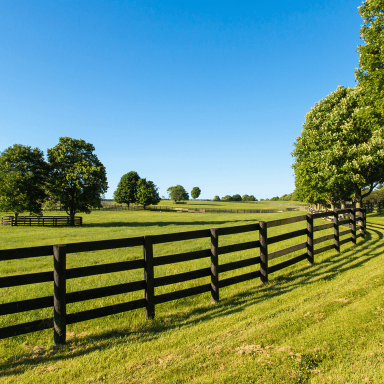 Wood Fence